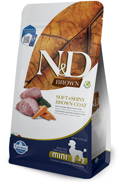 Lamb, Norwegian Kelp, and carrot mini recipe